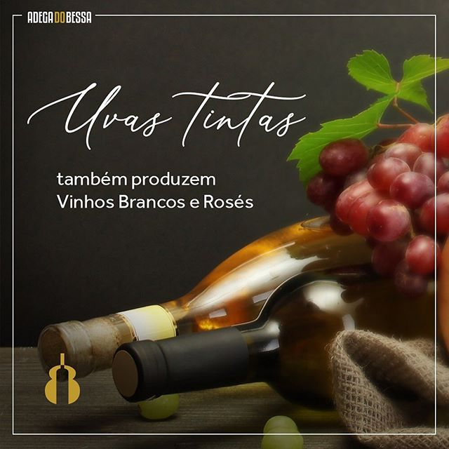 Uvas tintas também produzem Vinhos Brancos e Rosés